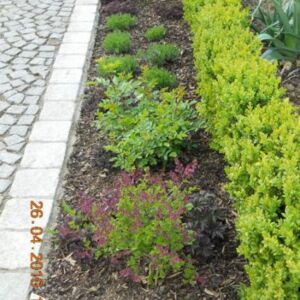 DSCN0235.JPG